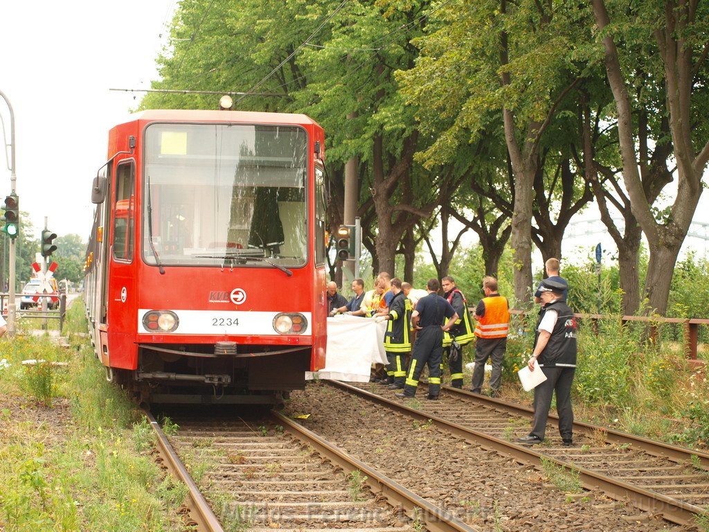 Person unter KVB Bahn Koeln Bayenthal Gustav Heinemann Ufer P41.JPG
